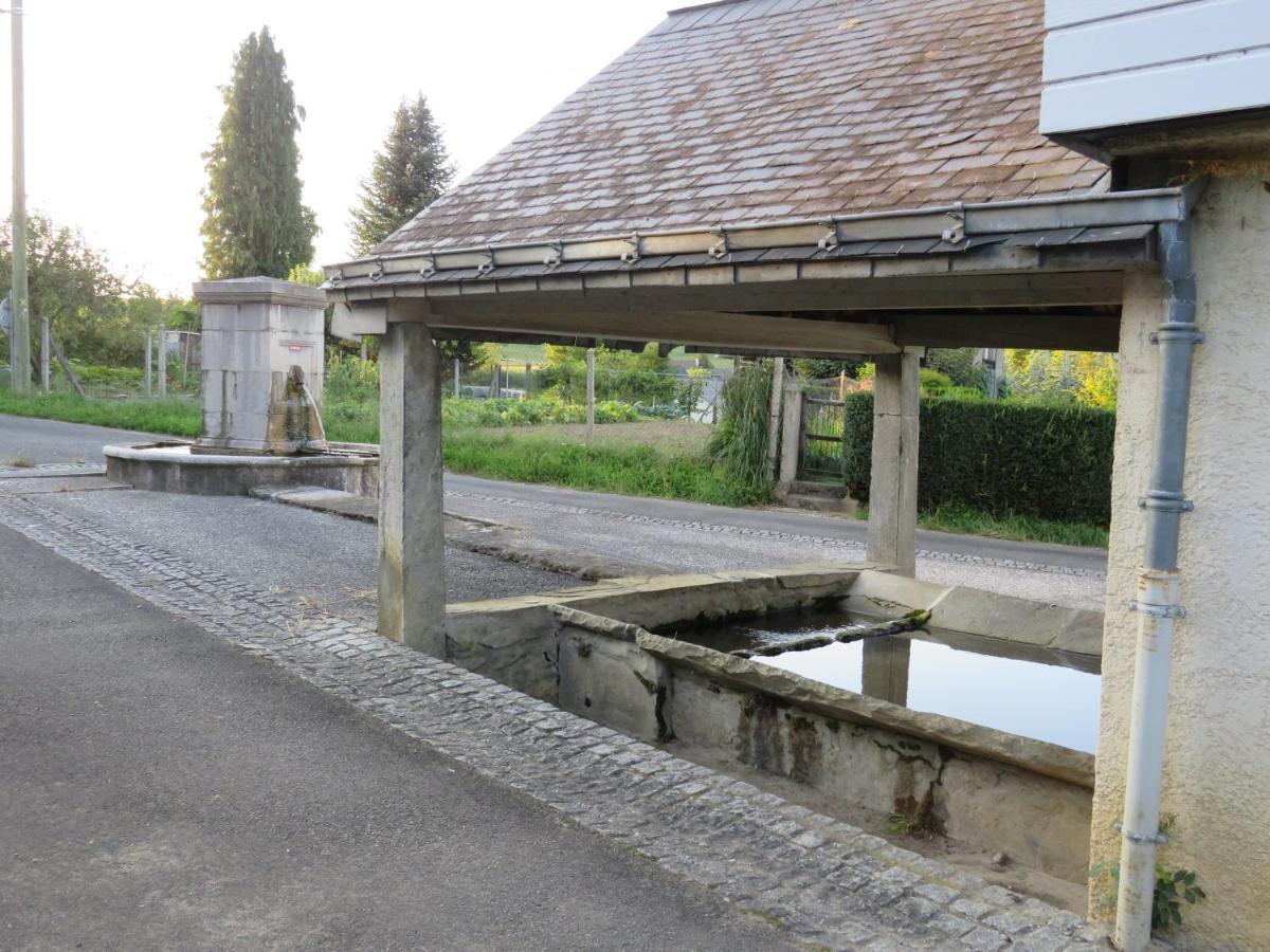 Gite Du Verger Bruges-Capbis-Mifaget Buitenkant foto
